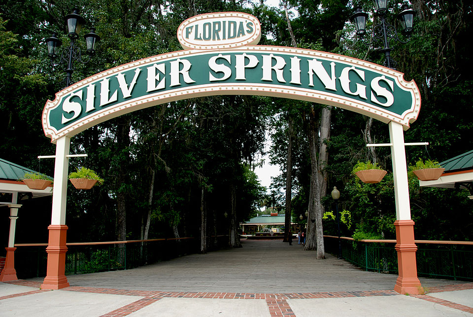 Silver Springs