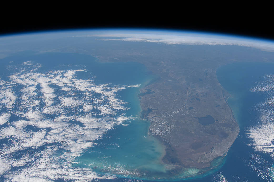 Florida State Authority